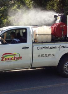 Disinfestazione Roma: lavori in corso