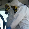Disinfestazione Roma
